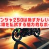 ニンジャ250は恥ずかしい？そんな噂を払拭する魅力的なポイント