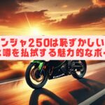 ニンジャ250は恥ずかしい？そんな噂を払拭する魅力的なポイント