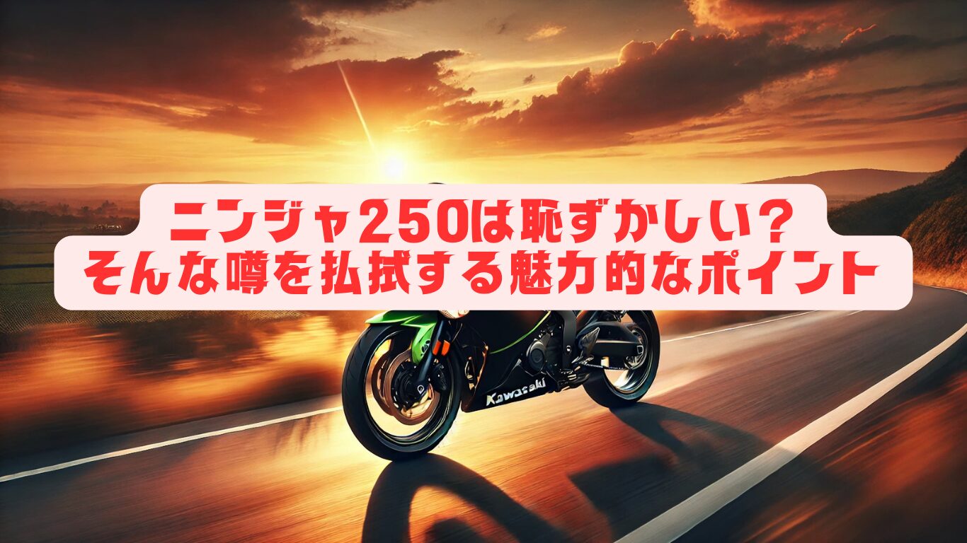 ニンジャ250は恥ずかしい？そんな噂を払拭する魅力的なポイント