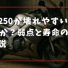ZZR250が壊れやすいのは本当か？弱点と寿命の実態を解説