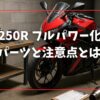 GSX250R フルパワー化に必要なパーツと注意点とは？