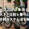 ビラーゴ250は本当に小さい？大きさ比較と乗り心地・おすすめカスタム法を解説